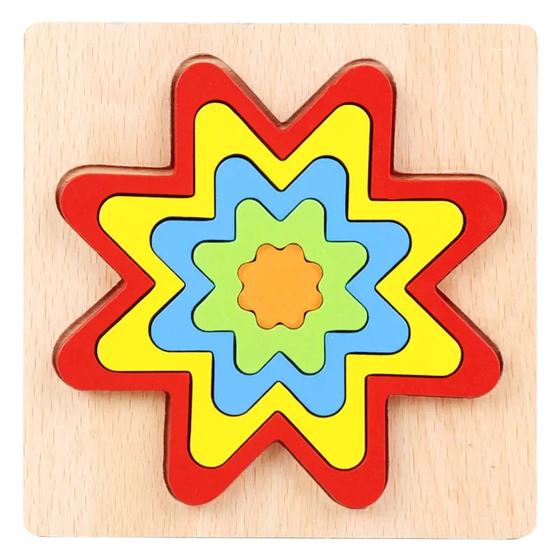 Colorful Wooden Geometric Shapes Puzzle Toys