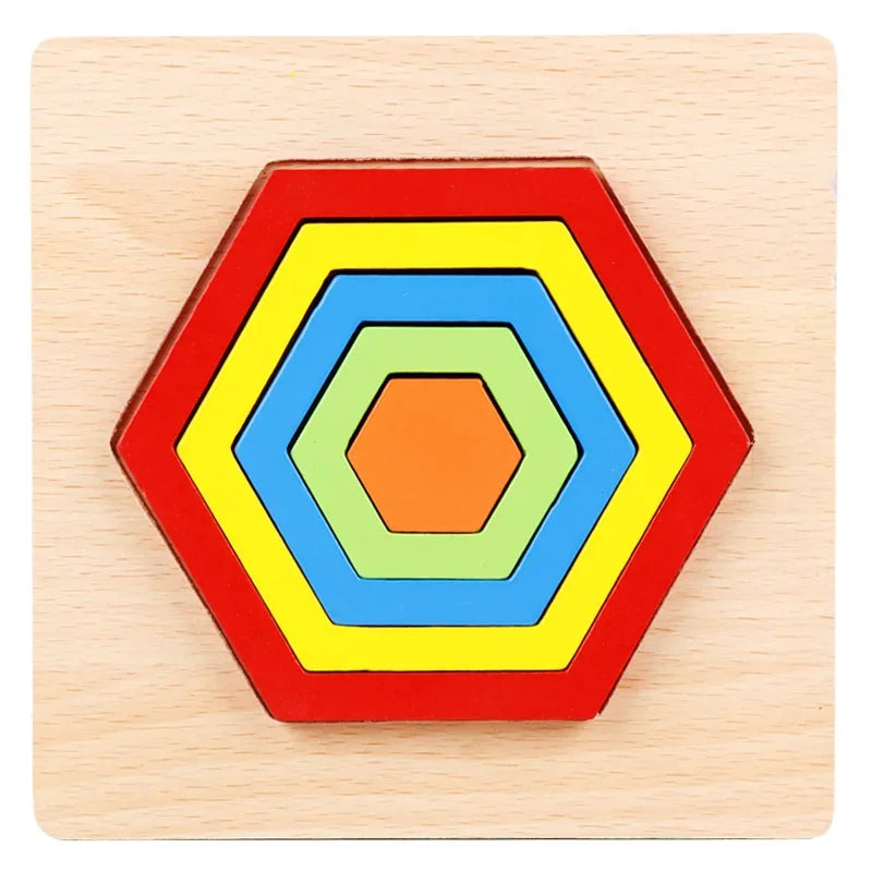 Colorful Wooden Geometric Shapes Puzzle Toys