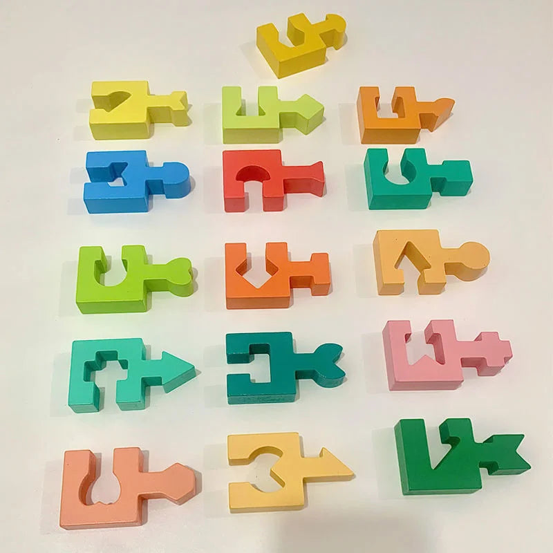 Shape Matching Wooden Puzzle Toys